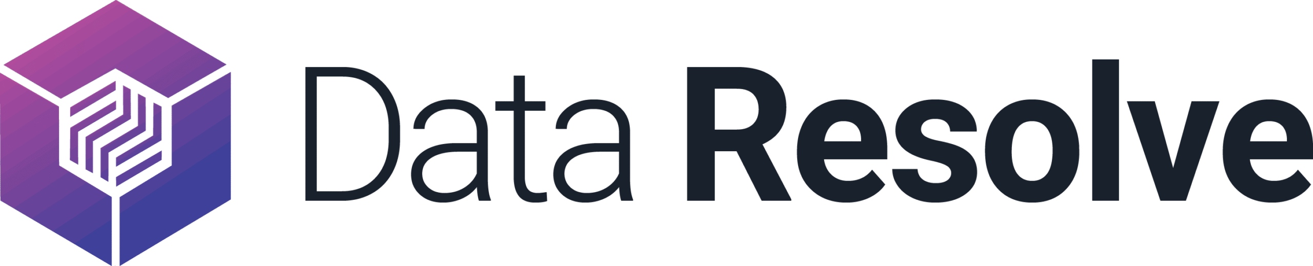 Data Resolve Logo